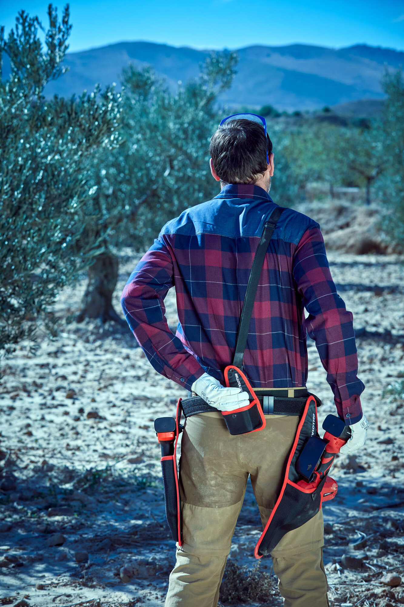 Funda para baterías de tijera y de motosierra eléctricas / ECSE