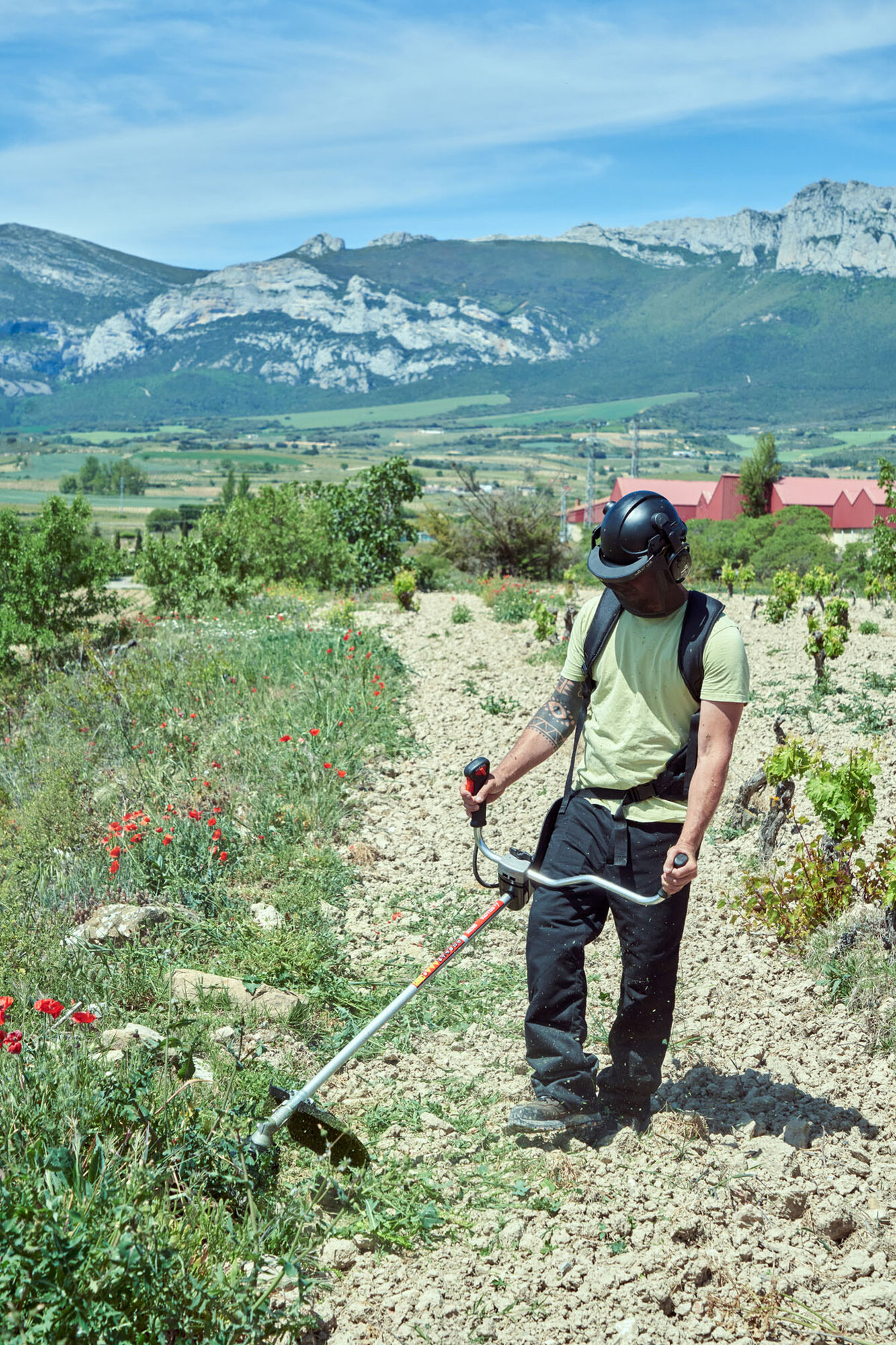 Bota de seguridad Outdoor S3 / FTW01BS3