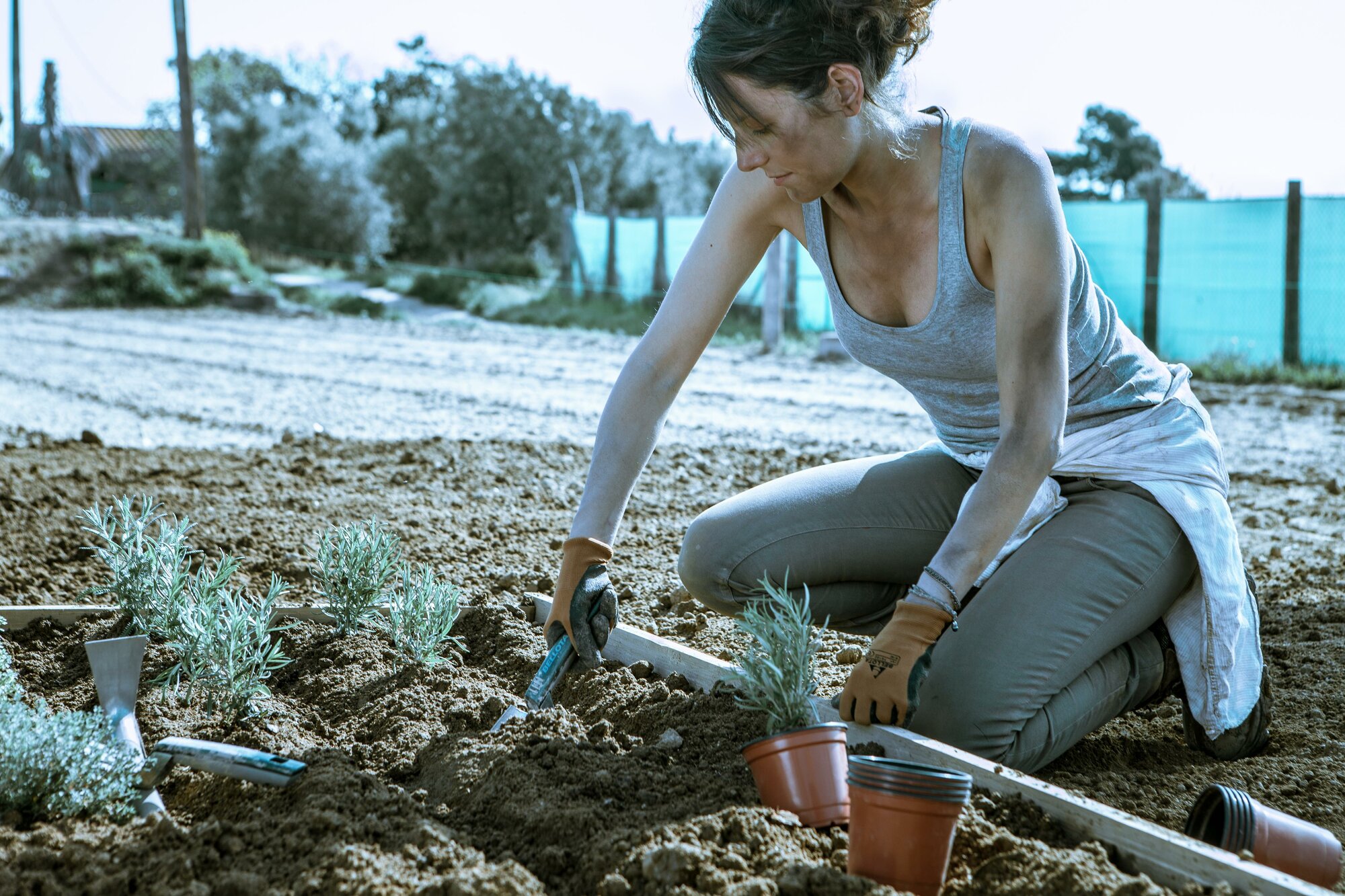 Trasplantador estrecho de aluminio y mango corto, con ancho de trabajo 60mm / 3000