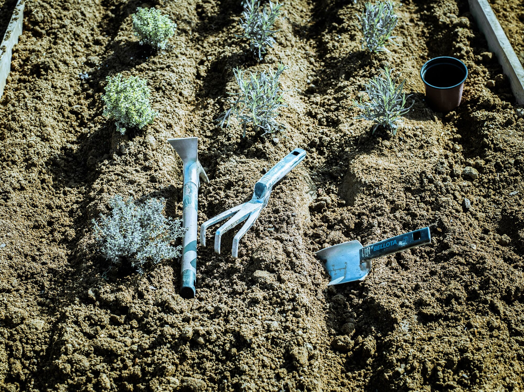 Trasplantador estrecho de aluminio y mango corto, con ancho de trabajo 60mm / 3000