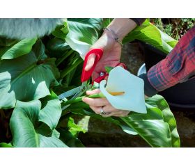 Tijera multiusos inox mangos ComfortGel / 3406