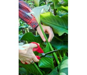 Tijera multiusos inox mangos ComfortGel / 3406