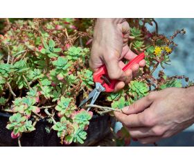 Tijera de detalles y cortes delicados inox ComfortGel/3407