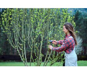 Tijera RatchetCut facilitador del corte mangos ComfortGel / 3411