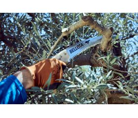 Serrucho Guepardo con hoja curva de 13" y mango de maderacurvo. Incluye funda / 454MC13