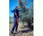 Serrucho Guepardo con hoja recta de 9" y mango bimaterial recto. Incluye funda / 45RBIMR9