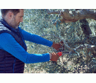Serrucho Guepardo con hoja recta de 9" y mango bimaterial recto. Incluye funda / 45RBIMR9