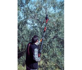 Motosierra pértiga a batería 210mm de corte / ECSP1210P