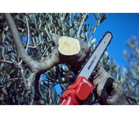 Motosierra pértiga a batería 210mm de corte / ECSP1210P