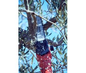 Motosierra pértiga a batería 210mm de corte / ECSP1210P