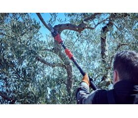 Motosierra pértiga a batería 210mm de corte / ECSP1210P