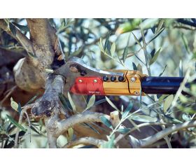 Tijera pértiga a batería 40mm de corte / EPRP140P