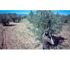 Tijera pértiga a batería 40mm de corte / EPRP140P