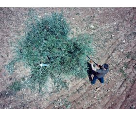 Tijera pértiga a batería 40mm de corte / EPRP140P