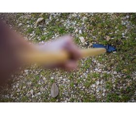 Azada quita hierbas de 18cm de ancho con mango de madera certificada de 1500mm / LHT3087W1500