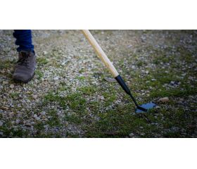 Azada quita hierbas de 18cm de ancho con mango de madera certificada de 1500mm / LHT3087W1500