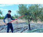 Vareador de aceitunas Cigüeña  con 2 velocidades