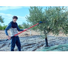 Vareador de aceitunas Cigüeña  con 2 velocidades