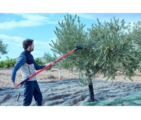 Vareador de aceitunas Cigüeña  con 2 velocidades