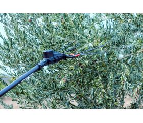 Vareador de aceitunas Colibrí con 3 velocidades VA1PRO