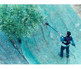 Vareador de aceitunas Colibrí con 3 velocidades VA1PRO