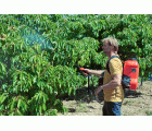 Pulverizador a batería 18v / PL1600BE