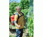 Pulverizador a batería 18v / PL1600BE
