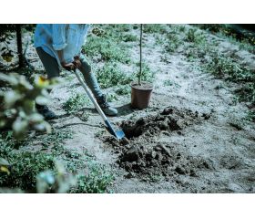 Palote Forjado de uso intensivo y en terrenos pedregosos / 5604M