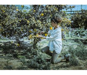 Tijeras de una mano, mango de acero remachado, corte universal. Para la poda,  uso intensivo - Gama Por Line / 3505