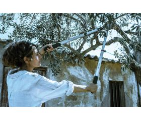 Tijera de dos manos de corte universal con mangos extensibles para uso intensivo, con bulón Ajsute Fácil Proline/ 3578TEL