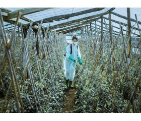 Pulverizador Profesional para trabajos en cultivos intensivos industriales / 3710