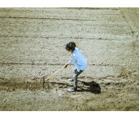 Rastrillo intensidad media, con mango de madera, para preparar la tierra, limpiar, igualar y cubrir sembrados / 951CML