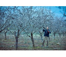 Pértiga extensible hasta 2,2m compatible con las tijeras eléctricas a batería  de la primera generación/ EPP1EXTP