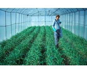 Pulverizador Profesional para trabajos en cultivos intensivos industriales / 3710