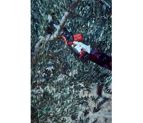 Motosierra eléctrica sin cable, con batería de Litio Ion, capacidad de corte 110mm / ECS1100P