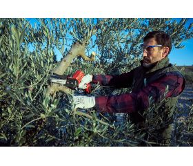 Motosierra eléctrica sin cable, con batería de Litio Ion, capacidad de corte 110mm / ECS1100P