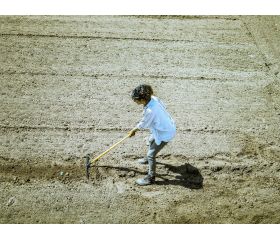 Rastrillo intensidad media para preparar la tierra, limpiar, igualar y cubrir sembrados / 951