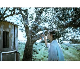 Sierra de arco para corte de madera seca / 45391