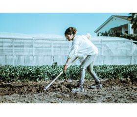 Azada forjada con sistema antigiro,  especial para el cultivo de la patata, modelo Galicia / HOE72