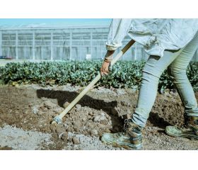 Azada forjada con sistema antigiro,  especial para el cultivo de la patata, modelo Galicia / HOE72