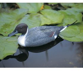 Animal decorativo para estanque - Pato de los torrentes - 50 cm.