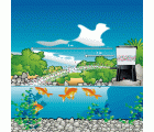Comedero solar automático para peces | 1356100