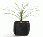 Bolsa cuadrada para el crecimiento de plantas acuáticas - 18 x 18 x 18 cm.