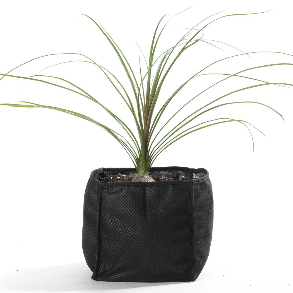 Bolsa cuadrada para el crecimiento de plantas acuáticas - 30 x 30 x 25 cm.