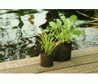 Bolsa redonda para el crecimiento de plantas acuáticas - Ø 15 cm.