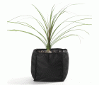 Bolsa cuadrada para el crecimiento de plantas acuáticas - 25 x 25 x 20 cm. | 1376156
