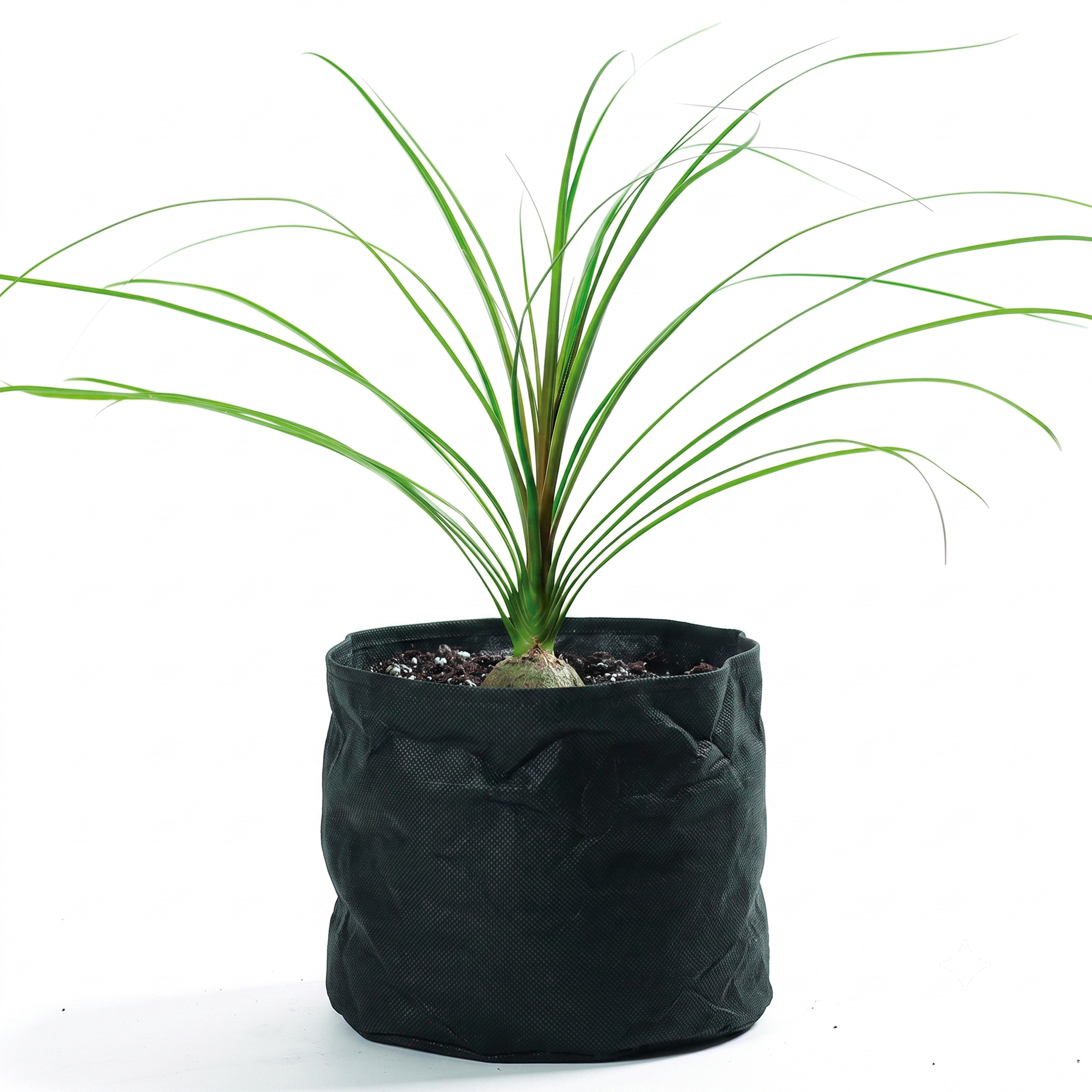 Bolsa redonda para el crecimiento de plantas acuáticas - Ø 15 cm. | 1376158