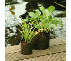 Bolsa redonda para el crecimiento de plantas acuáticas - Ø 25 cm. | 1376159