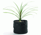 Bolsa redonda para el crecimiento de plantas acuáticas - Ø 25 cm. | 1376159