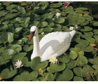 Animal decorativo para estanque - Cisne flotante - 26 cm.